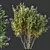 Exotic 3D Plant Models Collection 3D model small image 4