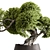 Zen Bonsai Tree in Pot 3D model small image 2