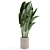 Custom Indoor Plant Model 235 3D model small image 1