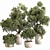 Serene Outdoor Plant Set 012 3D model small image 1