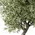 Elegant Olive Tree Sculpture Identity 3D model small image 2