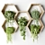 Hexagon Wall Planters with Hanging Plants 3D model small image 2