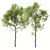 Spring Trees 3D Models Bundle 3D model small image 1