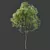 Spring Trees 3D Models Bundle 3D model small image 2