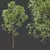 Spring Trees 3D Models Bundle 3D model small image 5