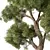  Elegant Tree No.107 Sculpture 3D model small image 2