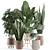 Customizable Indoor Plant Model 3D model small image 1