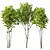  Spring Trees 3D Model Set 3D model small image 1