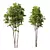  Spring Trees 3D Model Set 3D model small image 4