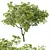  Spring Trees 3D Model Set 3D model small image 5