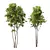  Spring Trees 3D Model Set 3D model small image 6