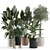 Customizable Indoor Plant 3D Model 3D model small image 1