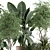 Customizable Indoor Plant 3D Model 3D model small image 2