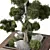 Modern Indoor Plant Set Bundle 3D model small image 2