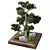 Modern Indoor Plant Set Bundle 3D model small image 3