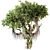 Jungle Tree & Ivy Plants Kit 3D model small image 1