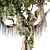 Jungle Tree & Ivy Plants Kit 3D model small image 3