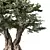 Majestic Olive Tree Figurine 3D model small image 2