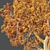 Sal Tree Model HQ 3D 3D model small image 4