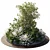 Outdoor Garden Plants Collection 3D model small image 2