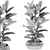 Variety Plants Collection 3D Render 3D model small image 3