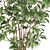 Schefflera Arboricola Indoor Plant Vase 3D model small image 3