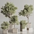 Sleek Indoor Plant Set 146 3D model small image 4