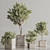 Sleek Indoor Plant Set 146 3D model small image 5