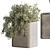 Sleek Indoor Plant Set 146 3D model small image 17