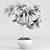 Realistic Dracaena & Schefflera Plants 3D model small image 5