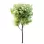 Teak Tectona Grandis HQ Tree 3D model small image 1