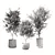 Elegant Olive Tree Indoor Set 3D model small image 4