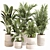 Green Oasis Indoor Plant Set 3D model small image 1