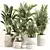 Green Oasis Indoor Plant Set 3D model small image 6