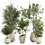 Diverse Indoor Plants Set 3D model small image 1