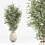 Diverse Indoor Plants Set 3D model small image 3