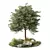 Greenery Garden Oasis Set 3D model small image 1