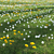 Meadow Bliss 3D model small image 2