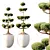 Sphere Tree 3D Models Set 3D model small image 2