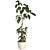 3D Plant & Decor Collection 3D model small image 1