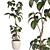 3D Plant & Decor Collection 3D model small image 4