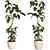 3D Plant & Decor Collection 3D model small image 5