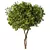 Sleek Modern Tree Sculpture 3D model small image 1