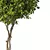 Sleek Modern Tree Sculpture 3D model small image 3