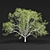 Russian Birch Tree Pack Vol 44 3D model small image 2