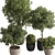 Grove Greenery 765 - Potted Tree 3D model small image 2