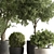 Grove Greenery 765 - Potted Tree 3D model small image 3