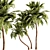 Tropical Palm Tree 3D Model 3D model small image 1