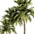 Tropical Palm Tree 3D Model 3D model small image 3