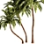 Tropical Palm Tree 3D Model 3D model small image 4